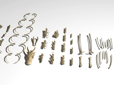Bone Dragon 3D Model