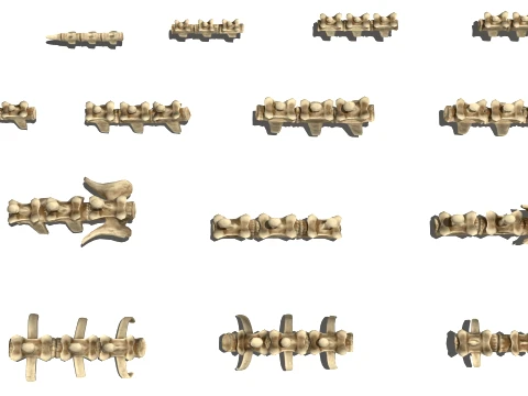 Bone Dragon 3D Model