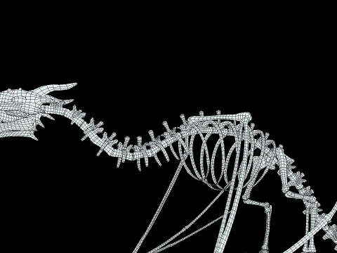 Bone Dragon 3D Model