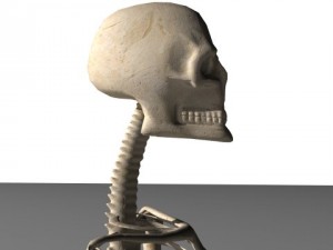 skeleton 3D 模型