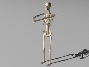 rigged skeleton Modelo 3D