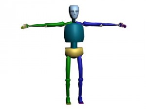 rigged skeleton Modelo 3D