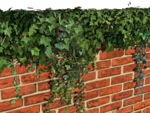 pared de hiedra Modelo 3D