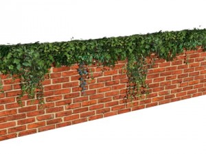 ivy wall Model 3D