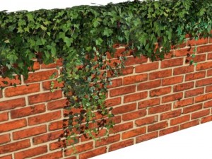 ivy wall Model 3D