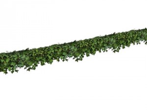 ivy wall Model 3D