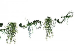 ivy wall Model 3D