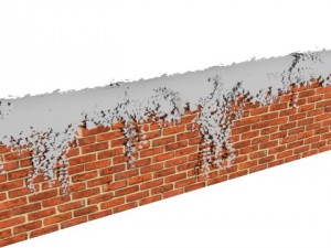 ivy wall Model 3D