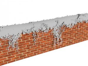 ivy wall 3D Model