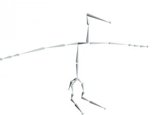 beaky buzzard 3D Model