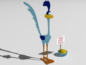 Road runner Model 3D