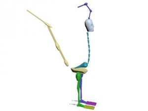 Road runner Model 3D