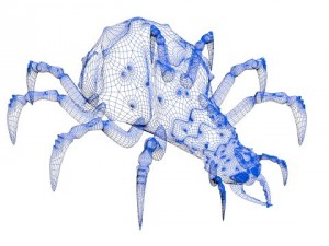 spider 3D मॉडल