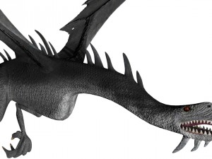 asmus 3D Model