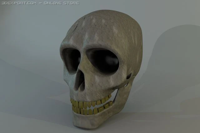 人間の頭蓋骨 3Dモデル .c4d .max .obj .3ds .fbx .stl .blend 