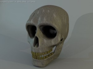 human skull Modelo 3D