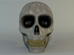 human skull 3D Model