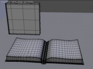 ancient book 1 3D Model