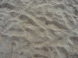 texture beach sand collection CG Dokuları