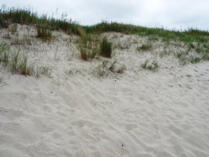 texture beach sand collection CG Dokuları