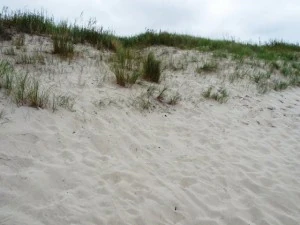 texture beach sand collection CG Textures