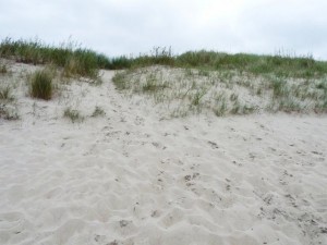 texture beach sand collection CG Dokuları