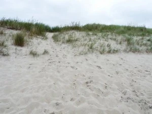 texture beach sand collection CG Textures