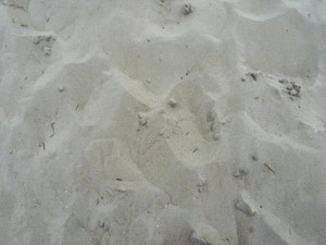 texture beach sand collection CG Dokuları