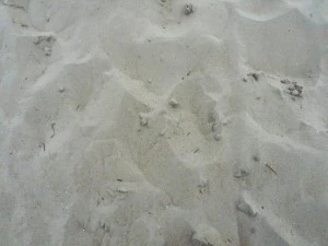 texture beach sand collection CG Textures