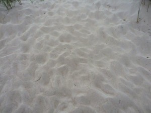texture beach sand collection CG Dokuları