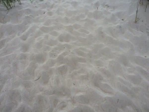 texture beach sand collection CG Textures