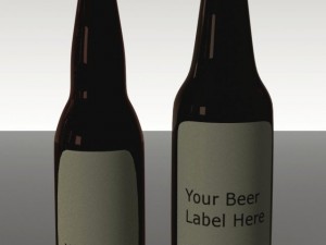 glass  beer bottle collection Modèle 3D