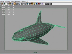 orcakiller whale 3D 模型