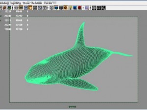 orcakiller whale 3D 模型