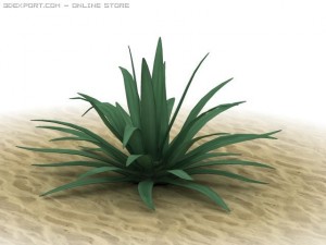 agave americana Modelo 3D