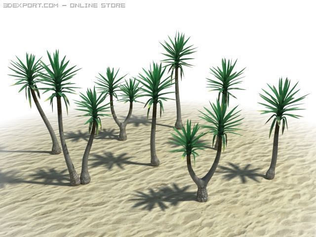 spineless yucca 3D Model .c4d .max .obj .3ds .fbx .stl .blend 