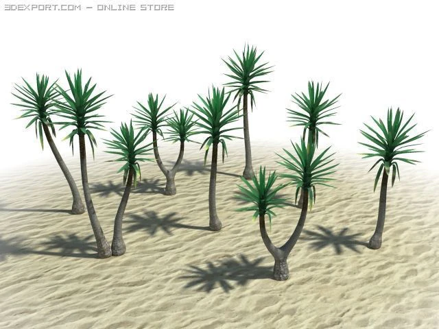 spineless yucca 3D Model .c4d .max .obj .3ds .fbx .stl .blend