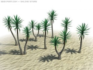 spineless yucca 3D Model
