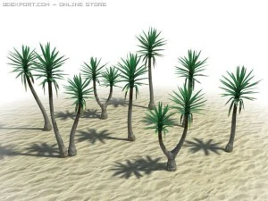 юка безколючна 3D Модель