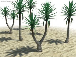 spineless yucca 3D Model