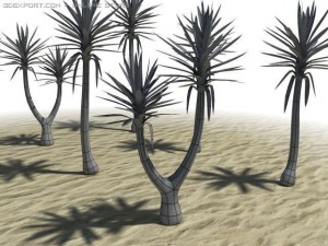 spineless yucca 3D Model