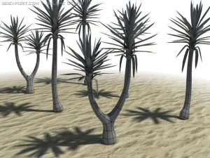 spineless yucca 3D Model