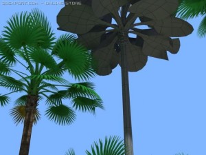 california fan palms 3D Model