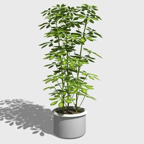 umbrella tree pot 3D Model .c4d .max .obj .3ds .fbx .stl .blend 