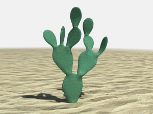 prickly pear cactus Modelo 3D