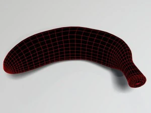 banana 3D Model