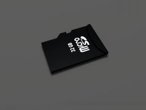 sd card and adapter 3D Model