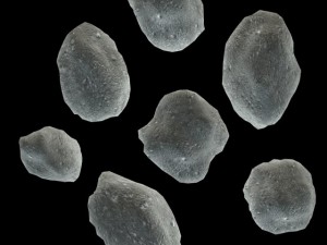 asteroids lowpoly Modelo 3D