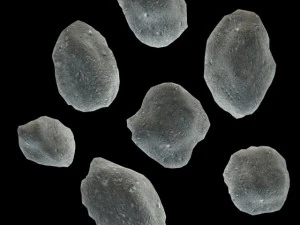 asteróides lowpoly Modelo 3D