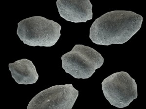 asteroids lowpoly 3D 模型